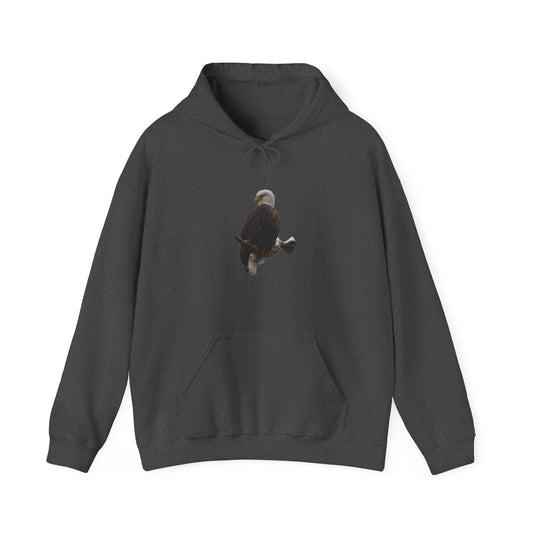 Eagle on Branch DNR Volunteer Hooded Sweatshirt v. 1