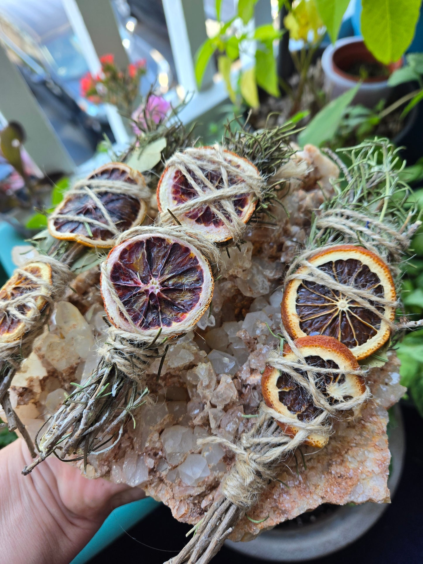 Rosemary Sunshine Herb Bundle