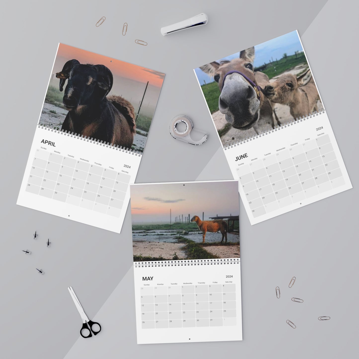 FarmLifeCalendar (2024)