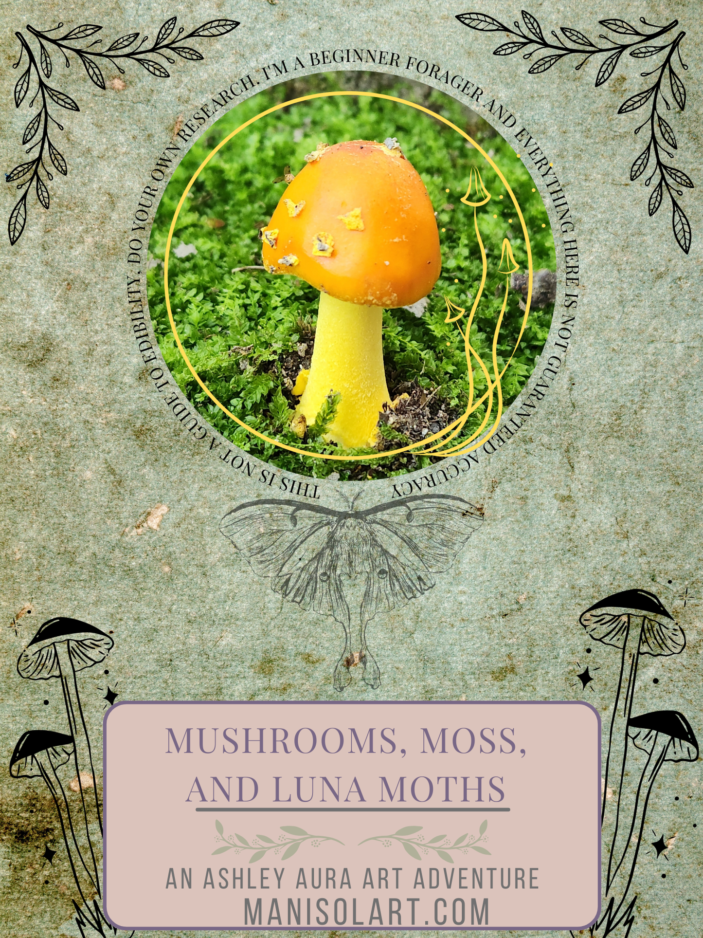 Mushrooms, Moss, and Luna Moths *Digital Download*